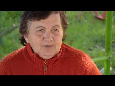 Para nga burgu për fëmijët, 21 vite pas hekurave për vrasje - Top Channel Albania - News - Lajme