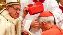 Pope warns against 'epidemic of animosity' as he appoints 17 new cardinals