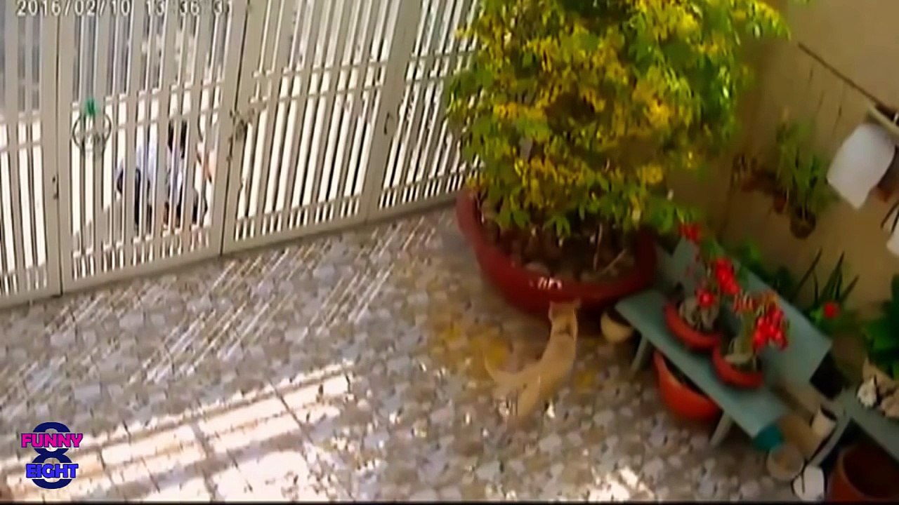 INSTANT KARMA  Instant Justice   New Compilation