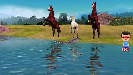 Finger Family Crocodile Nursery Rhymes | Animals Cartoon Finger Family Rhymes For Children