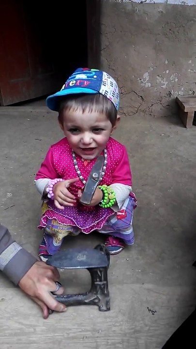 Funny Videos