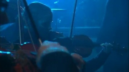 Alessandro Safina & Sarah Brightman - Sarai qui