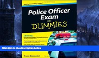 Big Deals  Police Officer Exam For Dummies  BOOK ONLINE