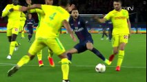 Paris Saint Germain vs Nantes 2-0 All Hoals & Highlights 19.11.2016 HD