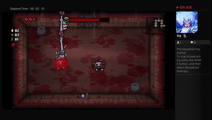 The binding of issac (12)