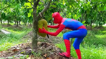 Frozen Elsa gets Joker Face and becomes w JOKER GIRL vs Spiderman & Anna! Funny Superheroes!