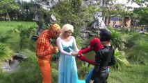 Orange Spiderman vs treasure sword Frozen Elsa vs Catwoman devil Spiderman, maleficent superheroes