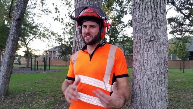 Tree Trimming Service Anna TX 214.578.1678 | US Tree Care Tree Pruning