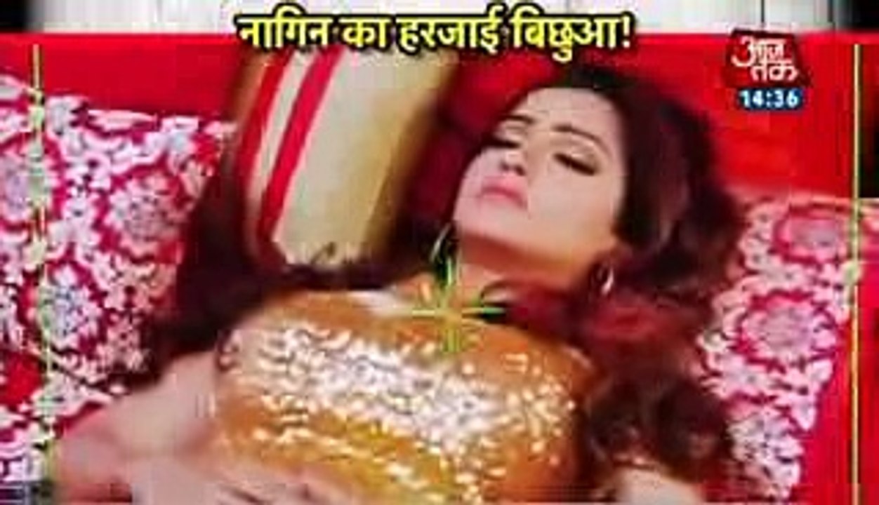 KYA MARJAEGI SHESHA YA BANEGI MORNI Naagin season 2 Episode 20th November 2016