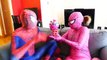 Spiderman vs Spider in Real Life! Fun Superhero Compilation w/ Frozen Elsa & Pink Spidergirl :)