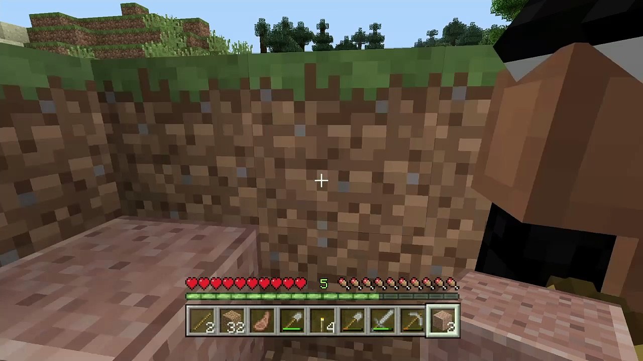 Minecraft survival
