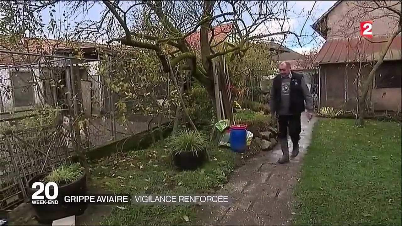 Grippe aviaire : une vigilance renforcée