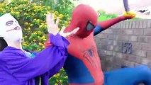Örümcek Adam Spidergirl Bubble Gum Poo Prank! Dondurulmuş Elsa Joker Dinozor Superhero Fun Derleme