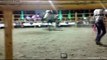 SUPER JARIPEO RANCHERO EN ATENAYUCA JARIPEO DE PRESIDENTES EN MEXICO GANADERIA LOCAL Y JINETES VALIENTES NOV 2016