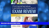 Big Deals  Comprehensive Lactation Consultant Exam Review (Smith, Comprehensive Lactation