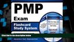 Big Sales  PMP Exam Flashcard Study System: PMP Test Practice Questions   Review for the Project