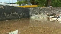 Em Brasília, pontos de ônibus acumulam poças de água e lixo