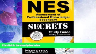 Deals in Books  NES Assessment of Professional Knowledge: Secondary Secrets Study Guide: NES Test