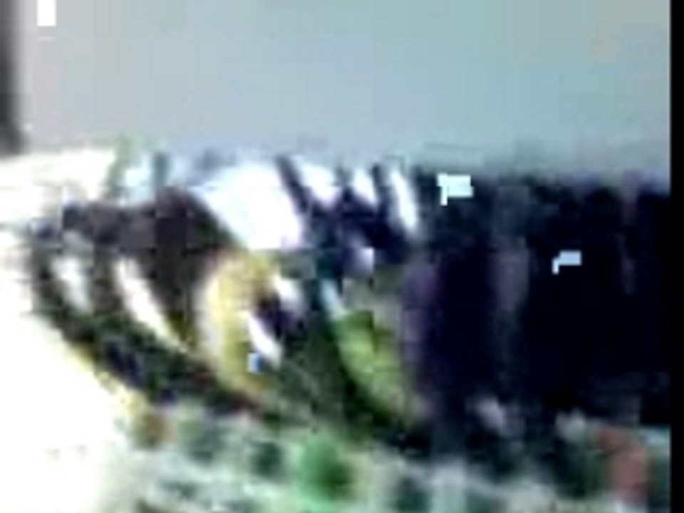 Clip(3)