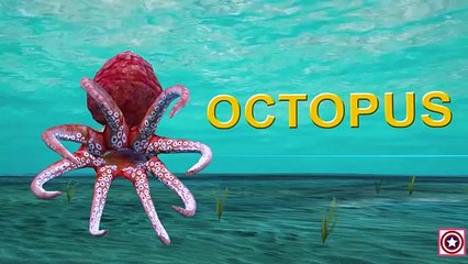 Learn Sea Animals | Learning Water Animals Names And Sounds For Kids | Sea Animal Sounds
