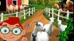 Маленькие Эйнштейны Домашние животные/Little Einsteins Barnyard Baton