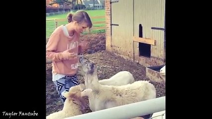 Taylor Swift loves her cats - Funny Moments 2016 2017