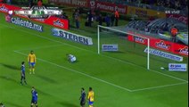 Resumen del Partido Tigres 1-2 Queretaro Jornada 17 Apertura 2017