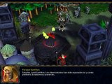Warcraft 3 TFT - Cinemáticas Elfos Sanguinarios - Historia completa [PARTE 1/2]