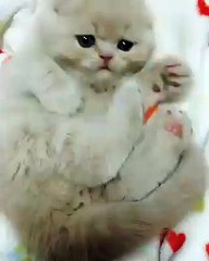 放假就是要這樣躺在家裡