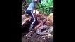 How To Catch Snake(Python) | A Man Catch Big Snake | Snake Catching | Wild Snake