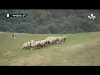 재산분할 소송 벌이는 정윤회 부부_채널A_뉴스TOP10