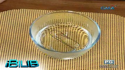 iBilib: Magic Paper Clip