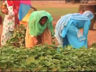ভারতে ৫'শ ও ১ হাজার রুপির নোট বন্ধ হওয়ায় বিপাকে কৃষক