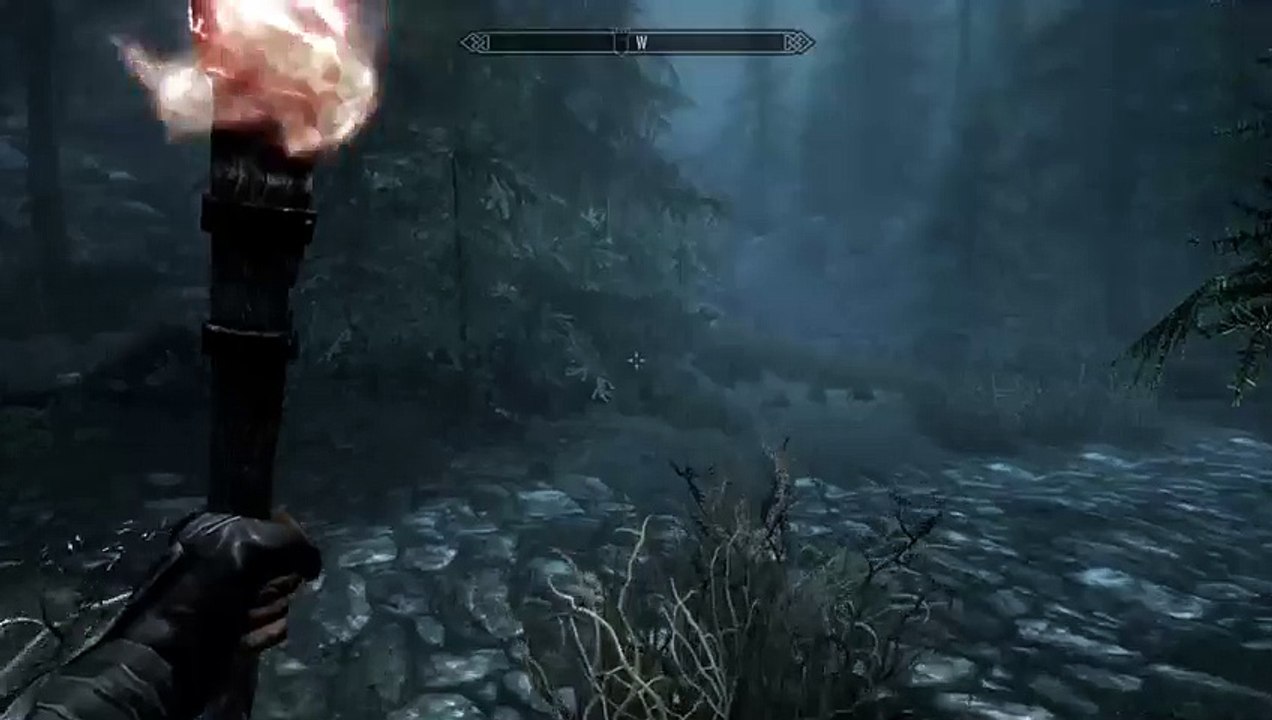 Skyrim (15)