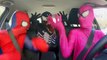 Pink Spidergirl vs Spiderman vs Venom - Superheroes Dancing in a Car - Superhero Movie In Real Life