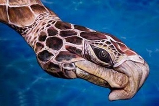 LAS MANOS MAS RAPIDAS Y CREATIVAS DEL MUNDO... NIVEL DIOS!!! LA 6 ES DE OTRO MUNDO!!!