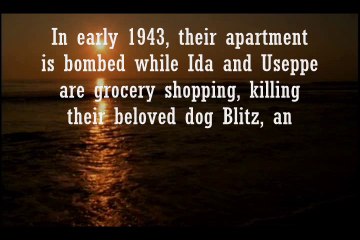 Novels Plot Summary 204: La Storia (History)