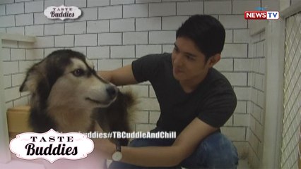 Taste Buddies: Cuddle and chill at Wolf & Dog Café