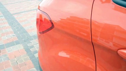 Ford EcoSport Back Door Area part2