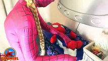Pink Spidergirl vs SNAKE with SPIDERBABY and MINIONS SNAKE vs Spidergirl Amazing Superheroes IRL