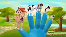Finger Family Children Nursery Rhymes Dog and Cats Cartoons | Finger Family Rhymes for Children