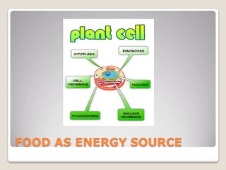 nutrition in plants