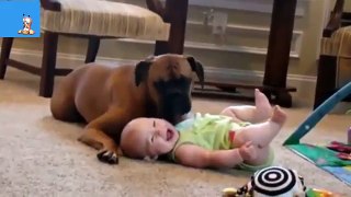 Best Funny Animals _ Babies Compilation 2016