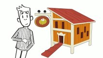 Build Your Own Chicken COOP