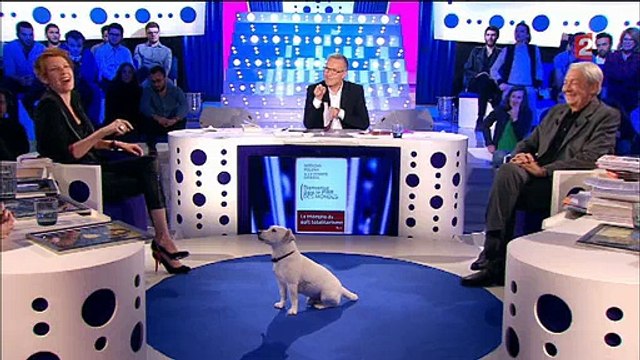 Le chien de Christophe Dechavanne perturbe On n'est pas couché sur France 2 - Regardez