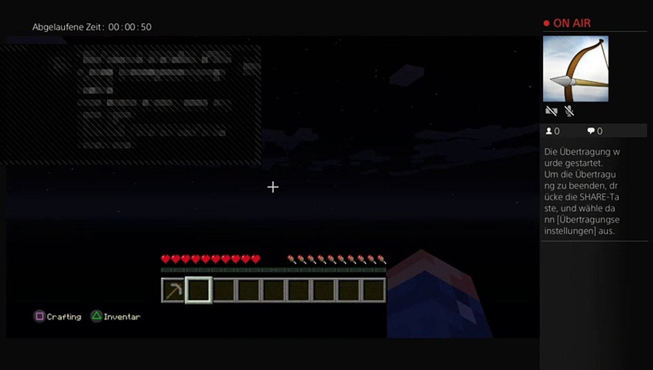 Minecraft (11)