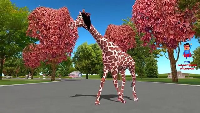 Finger Family Animals Collection Nursery Rhymes for Children | Daddy Finger Family Nursery Rhyme