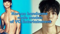 17  korean handsome male models of YG Entertainment