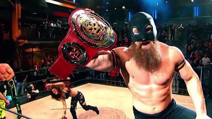 10 WWE DIVAS Who Wrestled Men