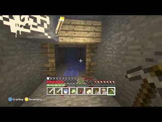 Minecraft|Survival #3 w/arran